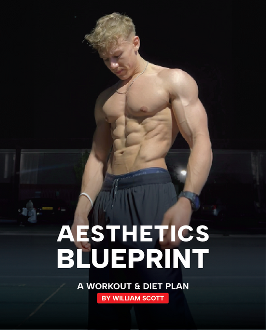 Aesthetics Blueprint | Training & Diet Plan